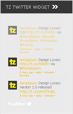 TZ Twitter Widget